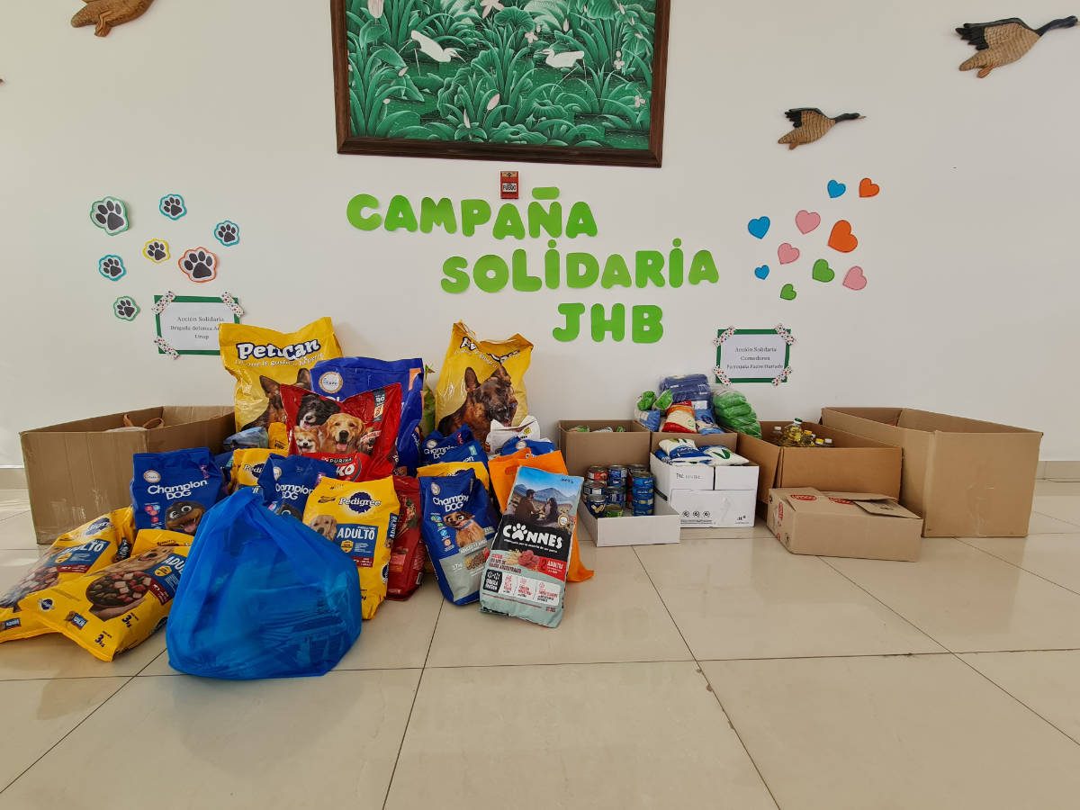 solidario 2